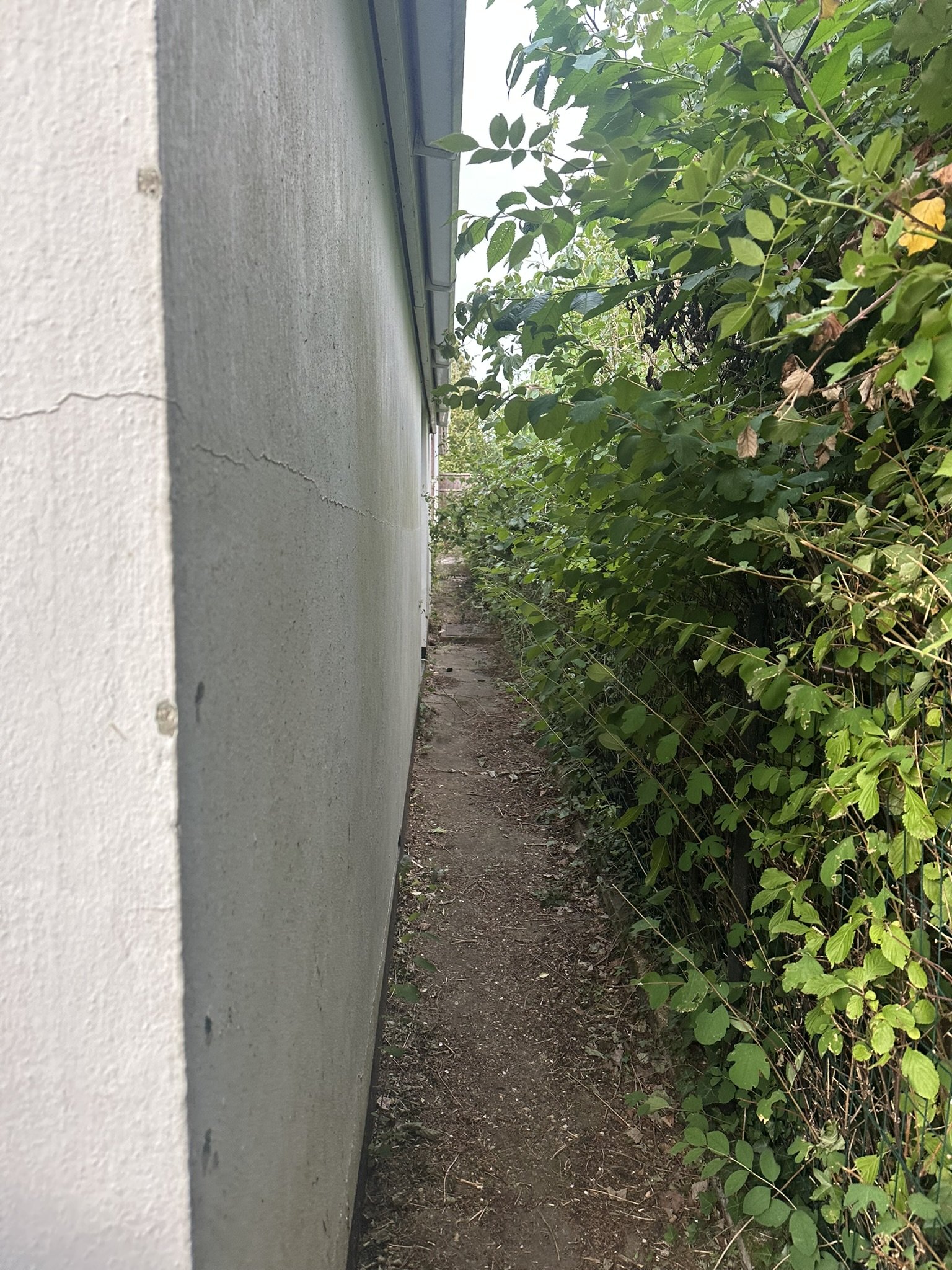 Harberts Road: narrow existing side access path along the flank wall
