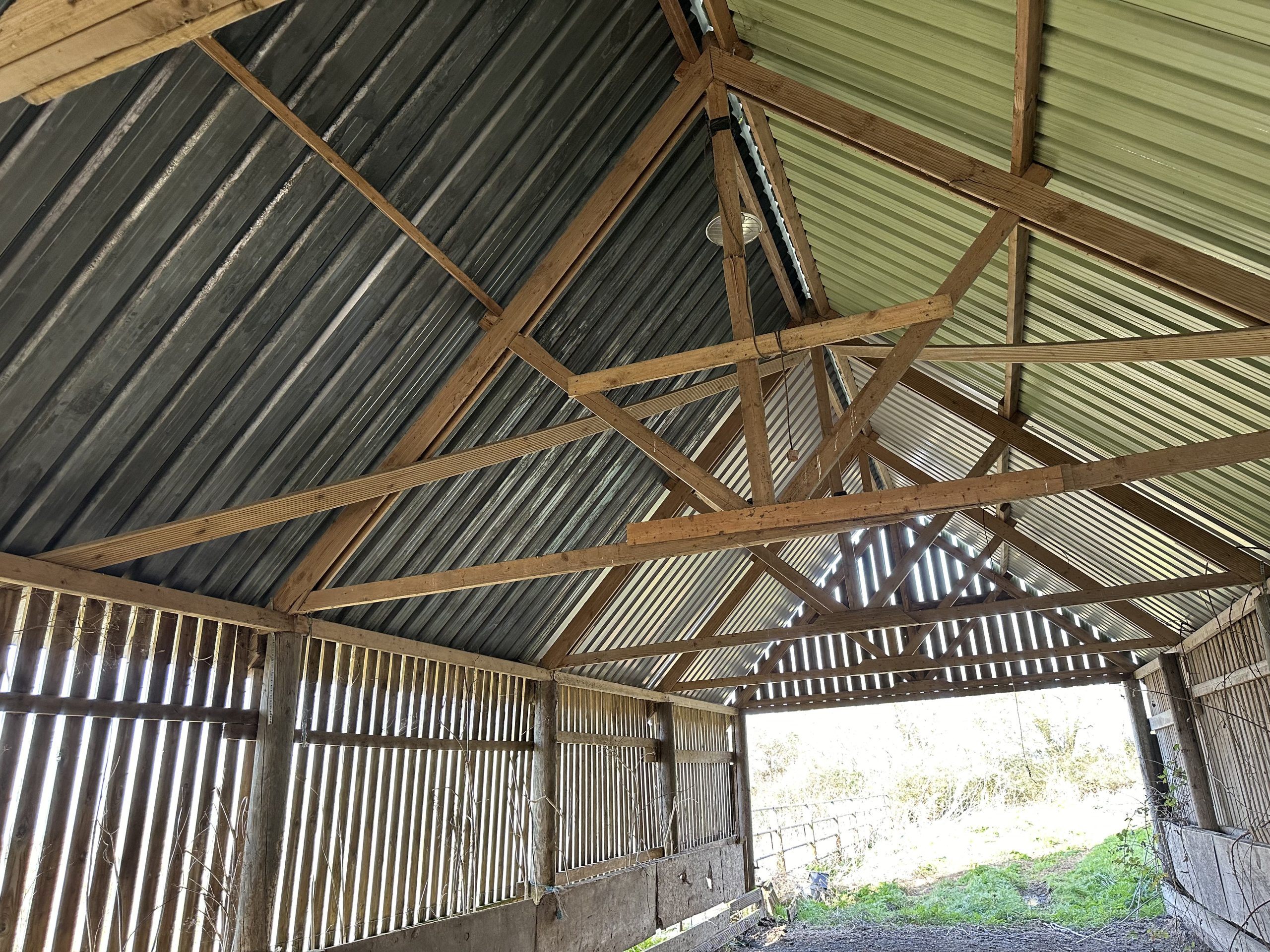 Andrews Farm barn interior: looking up at the exposed timber roof trusses and corrugated metal sheeting, the full apex of the structure