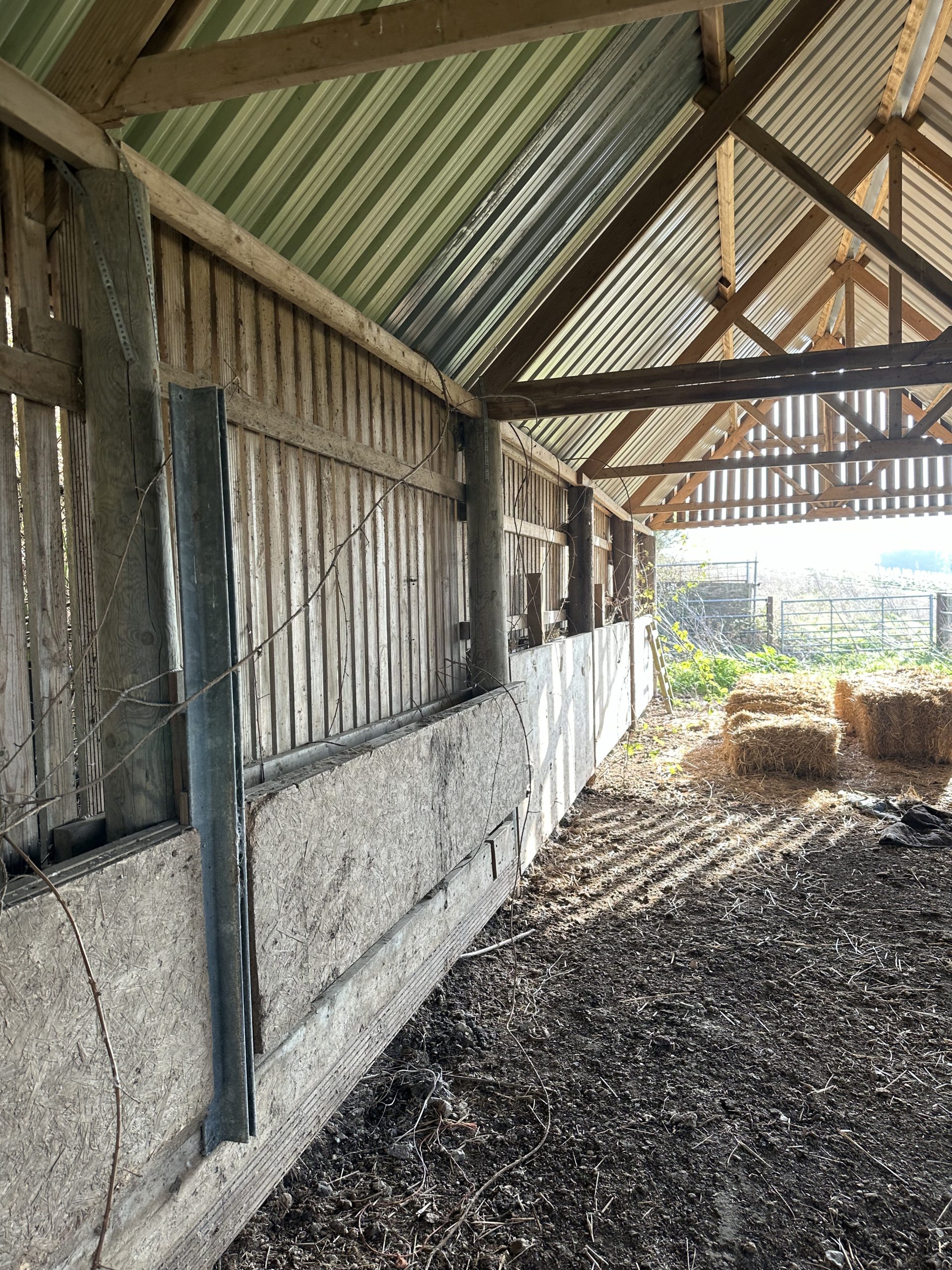 Andrews Farm barn interior: looking along the side wall, concrete kick board with open timber slat cladding above