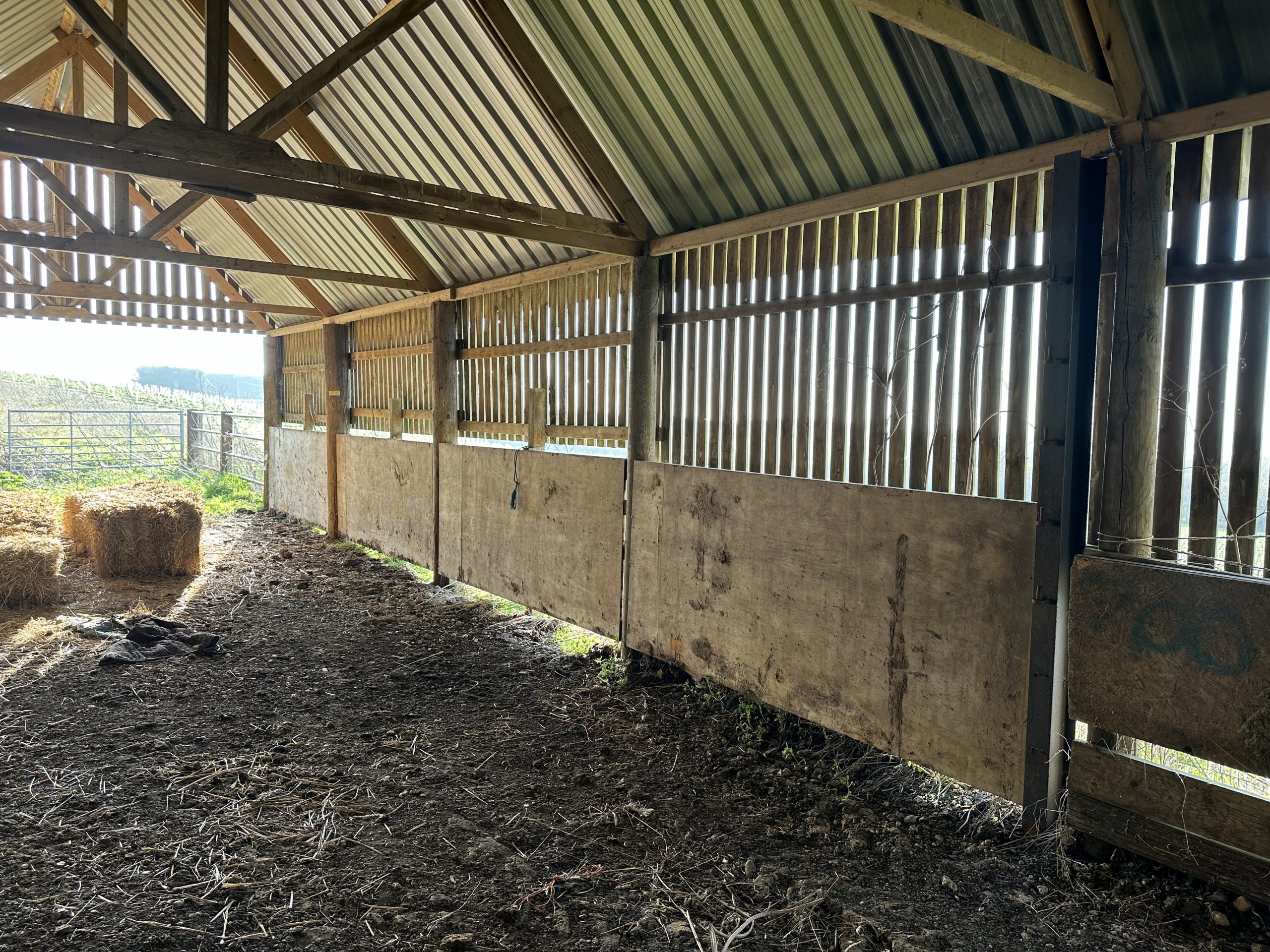 Andrews Farm barn interior: looking towards the open end of the barn, straw bales and the Essex countryside beyond
