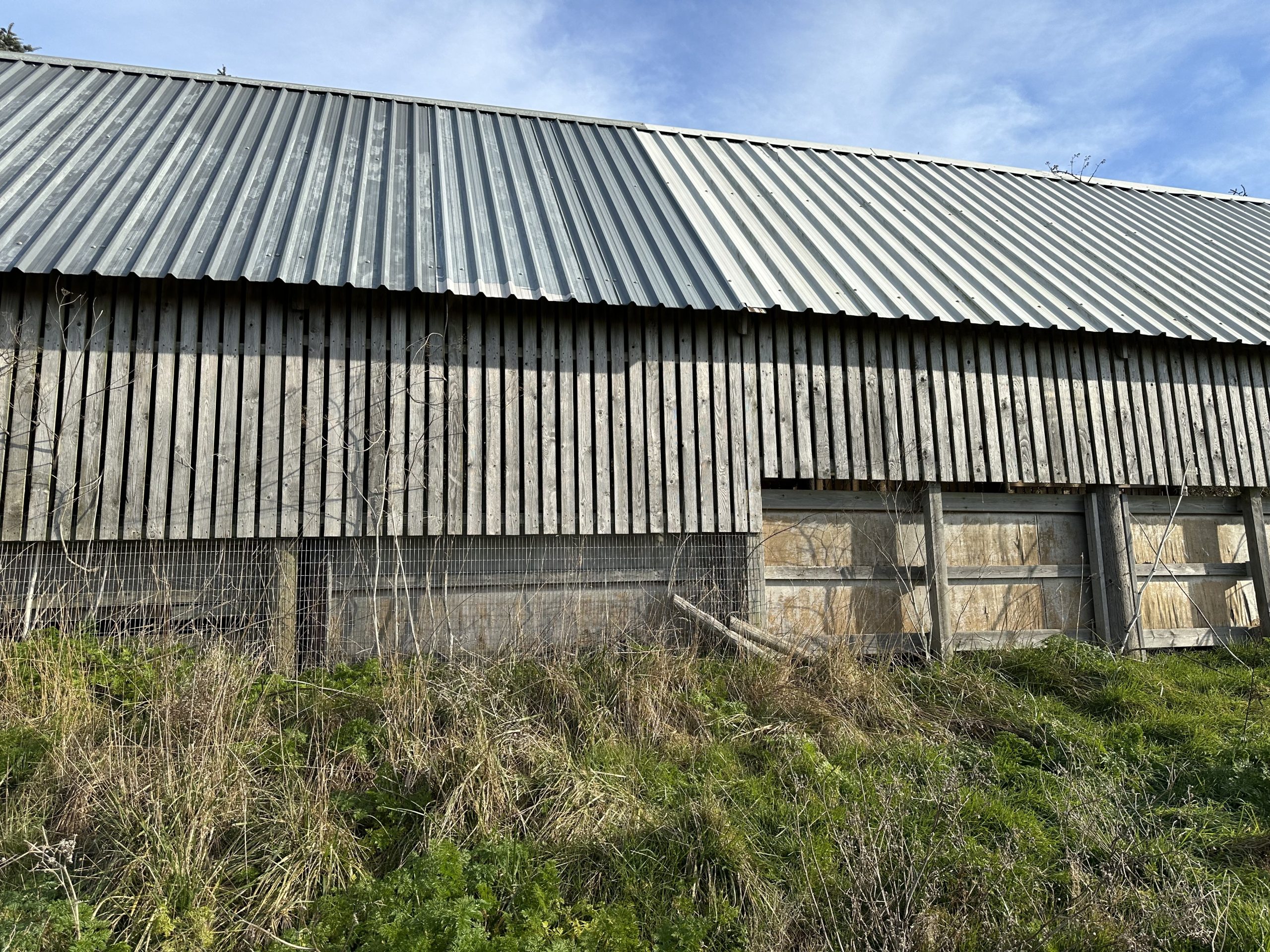 Andrews Farm barn: close detail of the timber cladding boards and corrugated metal roof junction