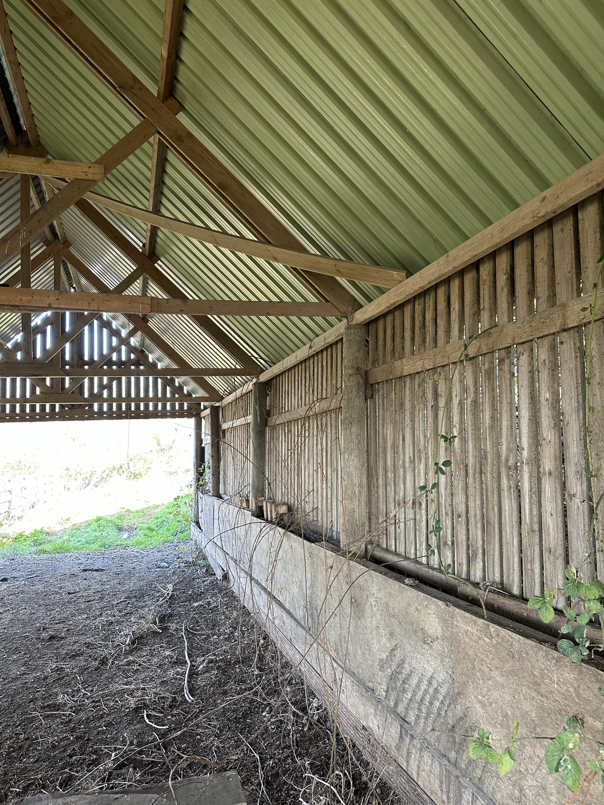 Andrews Farm barn, Althorne: backlit gable end against the sky, showing the open barn structure and rural Essex setting